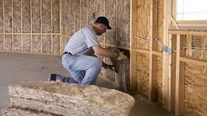 Best Radiant Barrier Insulation  in Donna, TX